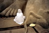 Meditating jain nun - Savranabelagola, Karnataka, India, 2003